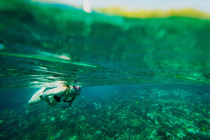 Big Island: Captain Cook Snorkel On A Power Catamaran With Lunch - Why Kealakekua Bay Makes This Four-Hour Trip Special
