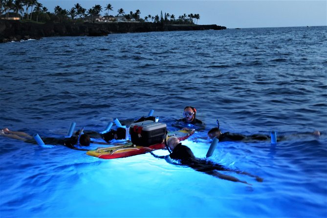 Big Island: Kona Manta Ray Snorkel Tour in Keauhou Harbor - The crew and the safety side