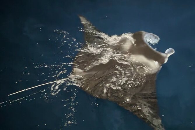Big Island: Manta Ray Night Snorkeling Adventure in Kailua-Kona - Getting ready for the water
