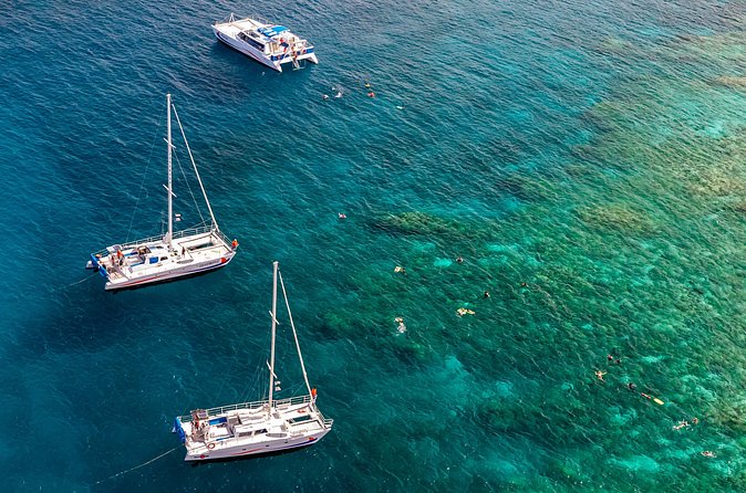 Big Island Snorkel Cruise from Waikoloa - Who will get the most from this cruise?