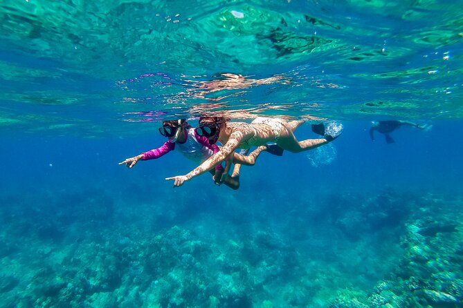 Big Island Snorkel Cruise from Waikoloa - What the snorkeling is like for beginners
