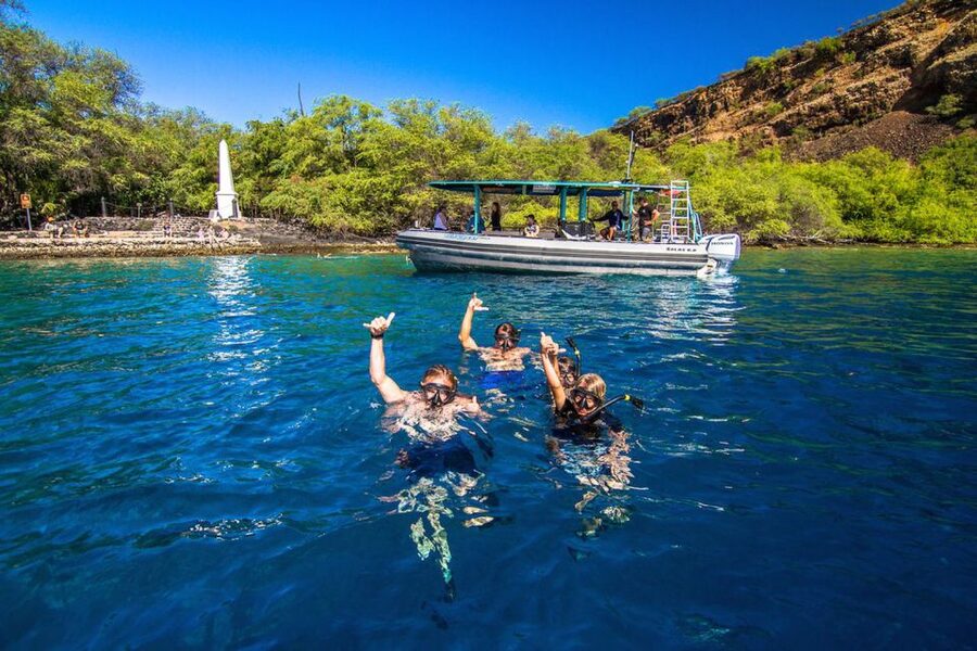 Big Island: South Kona Snorkeling and Coastline Exploration - Lunch Beneath the Canopy at Kealakekua