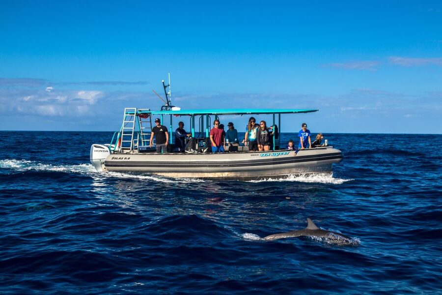Big Island: South Kona Snorkeling and Coastline Exploration - Who Gets the Best Value at $200?
