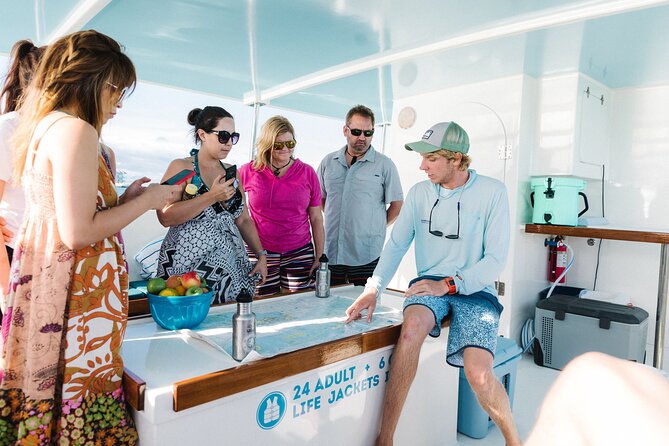 Biologist Owned & Operated: Dolphin Watching & Guided Snorkeling - A four-hour Key West outing built around wild dolphins