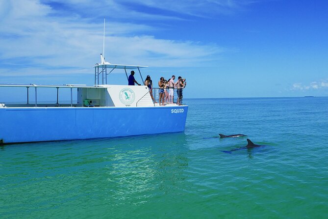 Biologist Owned & Operated: Dolphin Watching & Guided Snorkeling - Snacks, water, and the practical comforts onboard
