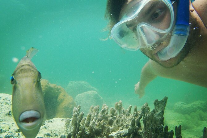 Biologist Owned & Operated: Dolphin Watching & Guided Snorkeling - Getting there without a last-minute scramble