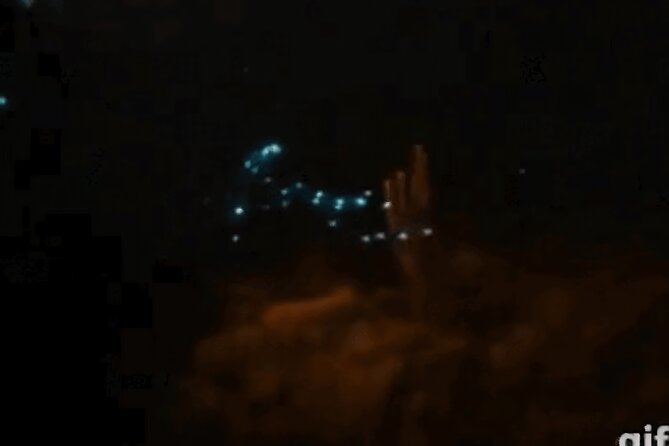 Bioluminescent Night Snorkeling - Why Bonaire’s night sea can glow