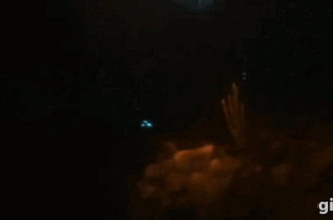 Bioluminescent Night Snorkeling - What the glowing encounter feels like