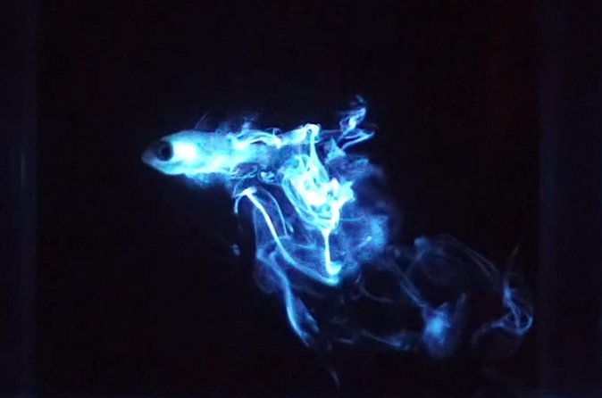 Bioluminescent Night Snorkeling - A closer look at the science
