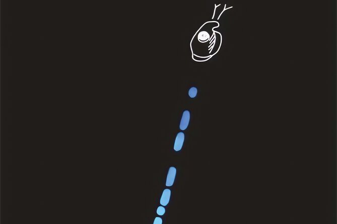 Bioluminescent Night Snorkeling - Is $66.01 a fair price?