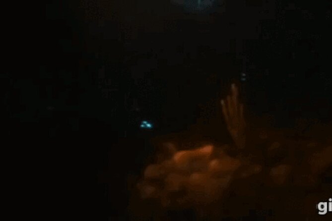 Bioluminescent Night Snorkeling - Meeting at 7:00 pm in Kralendijk