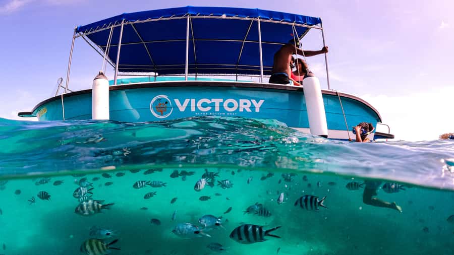 Blue Bay: Blue Bay Glass Bottom Boat Visit and Snorkeling - Why the guides matter here