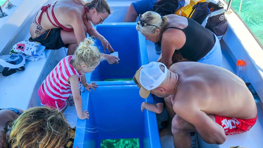Blue Bay: Blue Bay Glass Bottom Boat Visit and Snorkeling - Who will enjoy this Blue Bay outing?