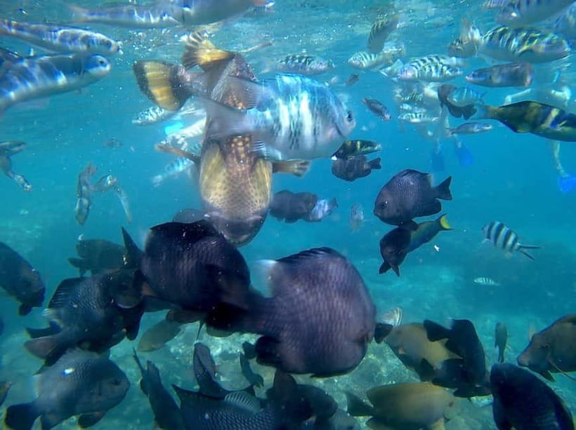 Blue Lagon Snorkeling, Waterfall, and Celuk Village Tour - Key points to know before booking