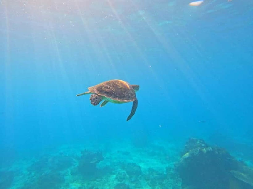 Blue Lagon Snorkeling, Waterfall, and Celuk Village Tour - Who should book this Bali day tour?