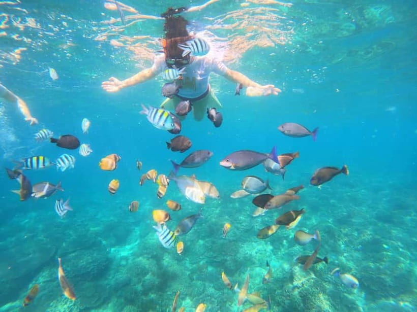 Blue Lagon Snorkeling, Waterfall, and Celuk Village Tour - Should you book it?