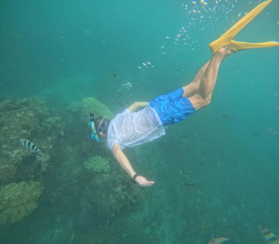 Blue Lagoon and Tanjung Jepun Snorkeling Tour - Blue Lagoon and Tanjung Jepun compared