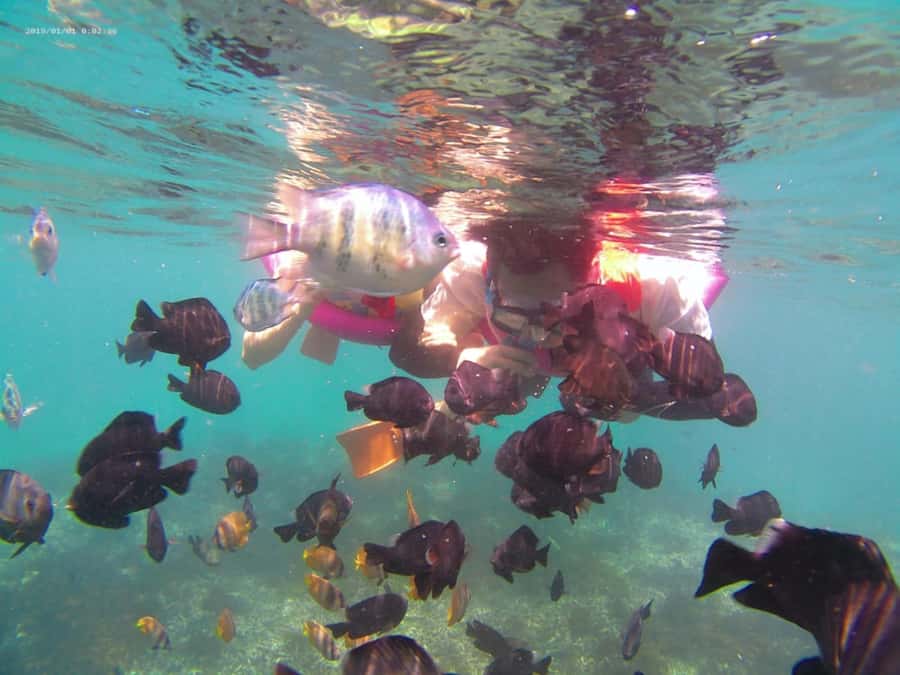 Blue Lagoon and Tanjung Jepun Snorkeling Tour - The 15-minute boat ride from the beach
