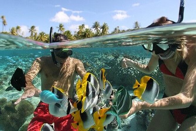 Blue Lagoon Snorkeling - Lunch - Kantolampo - Tibumana Waterfall - Kanto Lampo Waterfall, a short stop with strong photo appeal