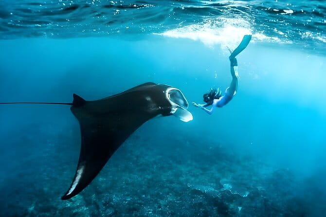 Blue Lagoon Snorkeling with Lunch and Private Transport - Lunch after the water time