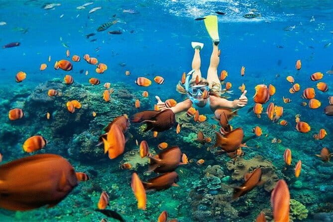 Blue Lagoon Snorkeling with Lunch and Private Transport - How the two-hour schedule affects your day