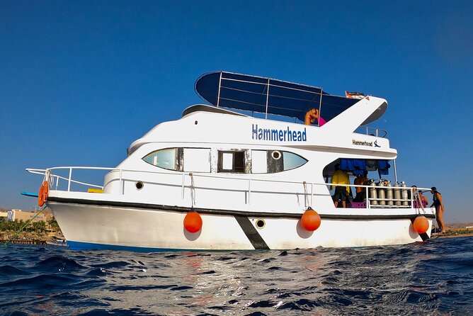 Boat Dive and Snorkeling Experience in Aqaba - Getting comfortable before the underwater session