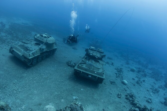 Boat Dive and Snorkeling Experience in Aqaba - Lunch turns the sea trip into a half-day outing