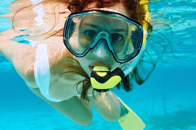 Boat Dive and Snorkeling Experience in Aqaba - Is $123.19 a fair price?