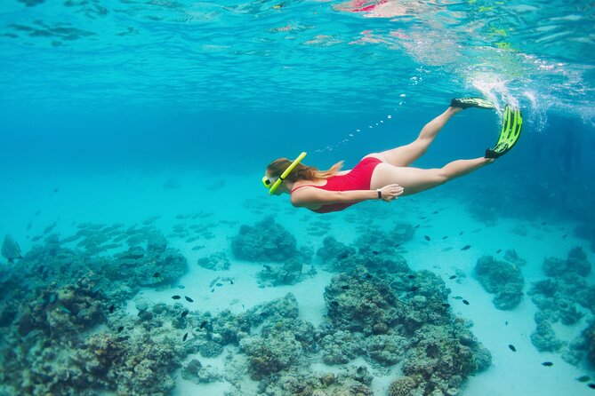 Boat Dive and Snorkeling Experience in Aqaba - Sun protection and care for Aqaba’s sea