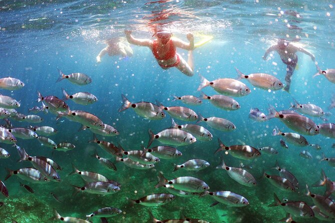 BOAT & KAYAK! Sea Adventure - Snorkeling & Cliff Jumps - Key points before you book