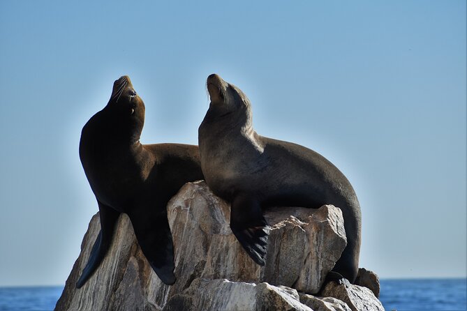 Boat ride to the Arch and Snorkel - Why this small Cabo boat trip works so well