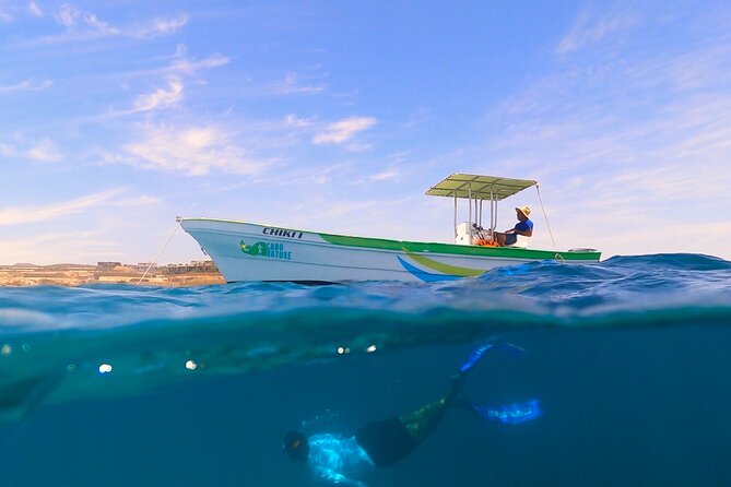 Boat ride to the Arch and Snorkel - Boat ladder, sea conditions, and comfort