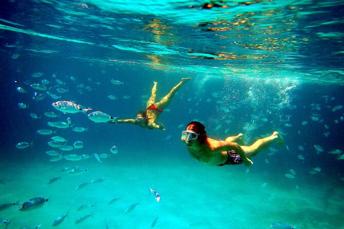Boat Tour and Snorkeling Golfo di Olbia Private up to 6 people - A private start from Marina di Olbia