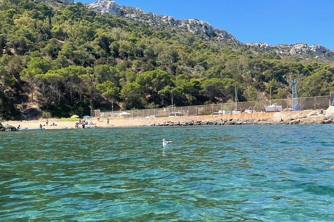 Boat Tour in Cagliari Saddle of the Devil Stops Swimming Snorkeling - The Sella del Diavolo and the Gasole Pools