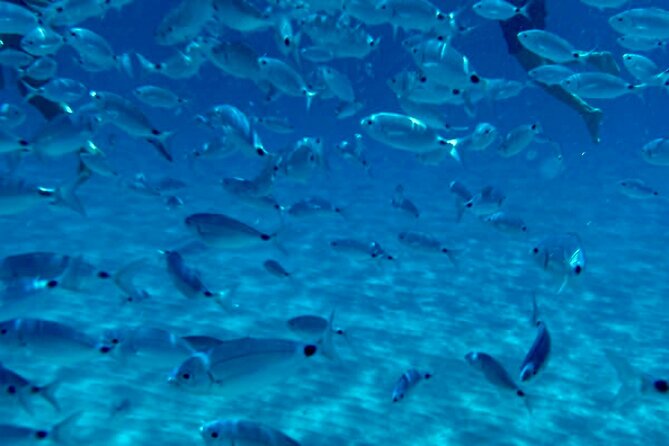 Boat Tour to Sella del Diavolo: Snorkeling, GoPro & Beer - Sella del Diavolo: the strongest stop on the route