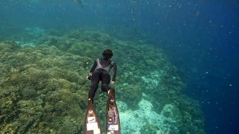 Bohol: Boat Tour to Sandbar and Snorkeling with Turtles - What this Bohol boat trip is really like