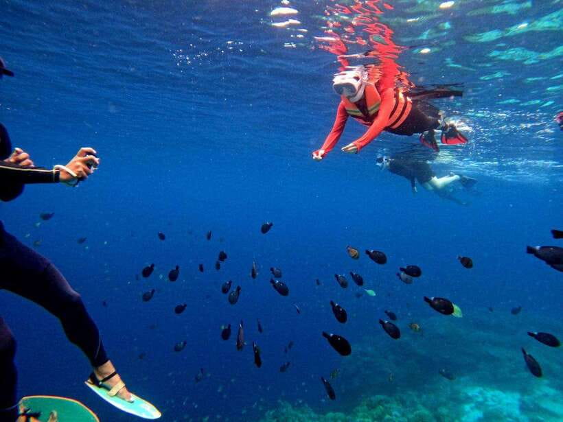 Bohol: Boat Tour to Sandbar and Snorkeling with Turtles - Balicasag snorkeling with local island guides