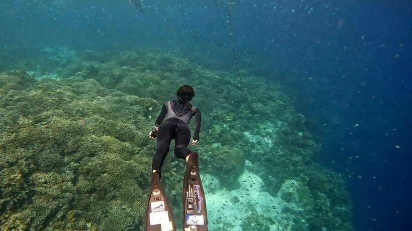 Bohol: Boat Tour to Sandbar and Snorkeling with Turtles - The crew and the shared-boat atmosphere