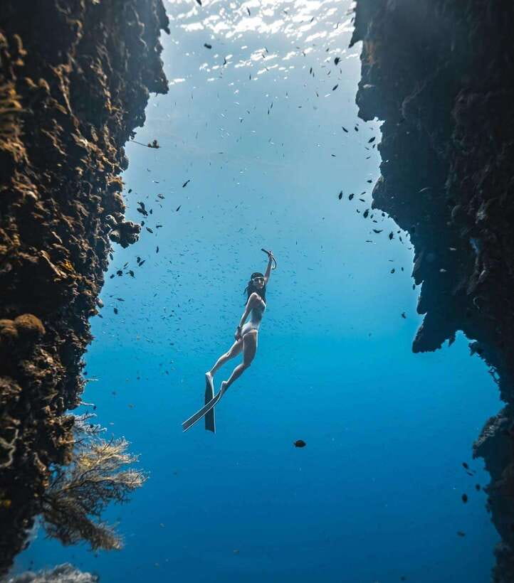 Bohol: Guided Sardine Reef Snorkeling Experience - What it feels like in the water