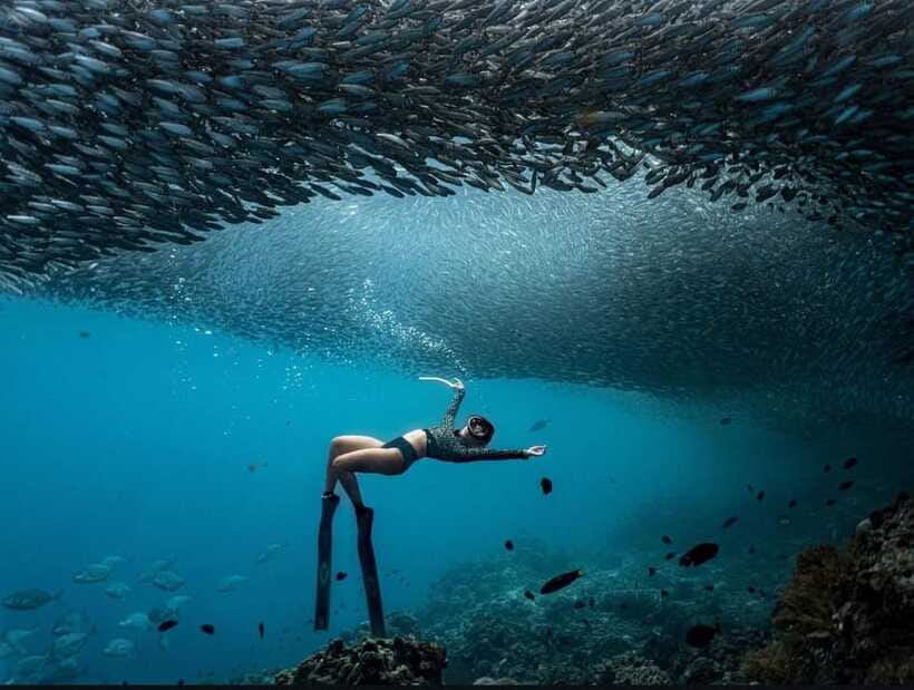 Bohol: Guided Sardine Reef Snorkeling Experience - Is $38 a fair price?