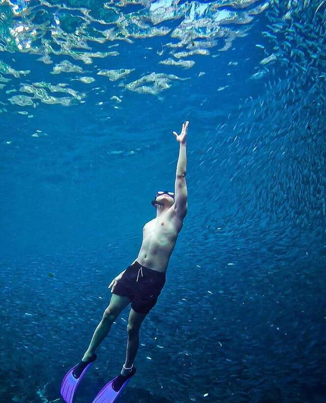 Bohol: Guided Sardine Reef Snorkeling Experience - Who will enjoy this most
