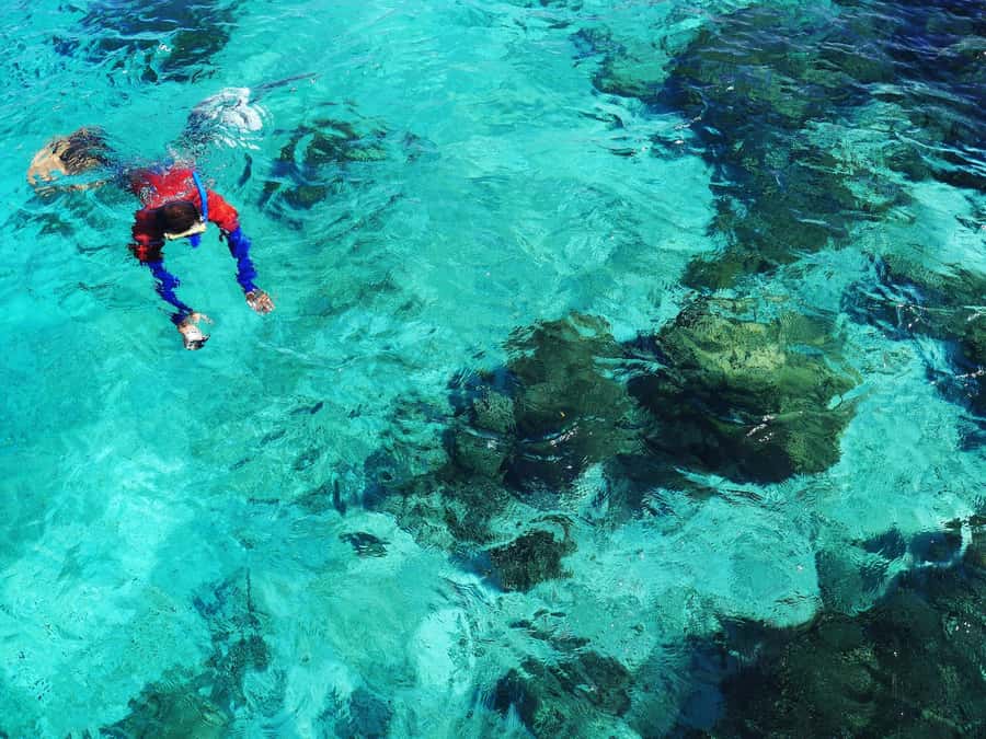 Bohol: Private Balicasag Tour with extra snorkeling time - Extra Time Around Balicasag