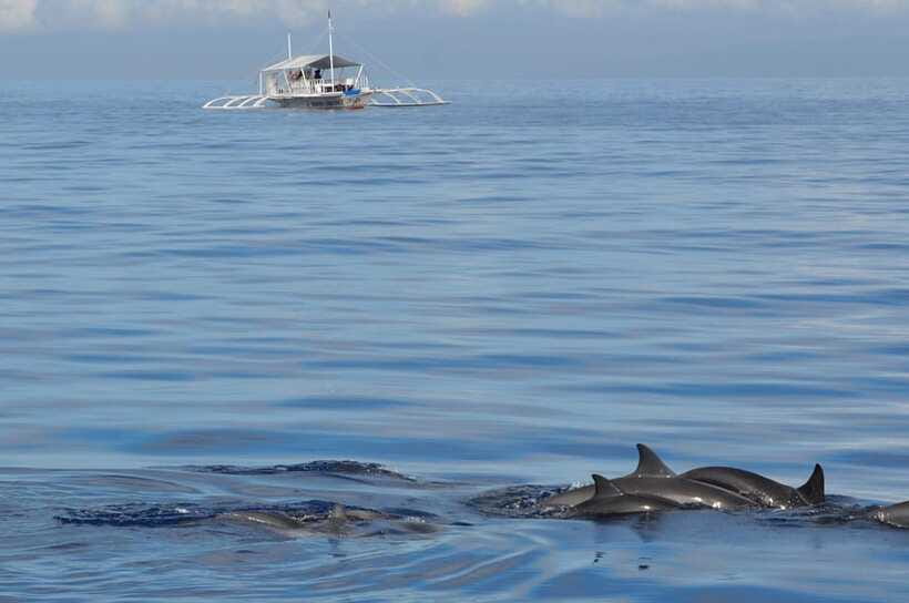 Bohol: Private Balicasag Tour with extra snorkeling time - Crowds, Weather, and Realistic Expectations