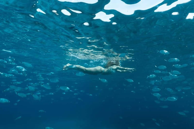 Bonifacio: Catamaran trip with snorkeling at the Lavezzi Islands - Practical details before you book