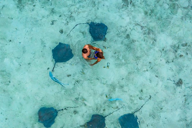 Bora Bora 4WD Tour & Eco Shark & Ray Snorkel Cruise - Key points before you book