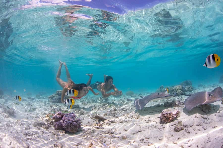 Bora Bora: Eco Shark and Snorkeling Safari - Three stops that show off Bora Bora’s lagoon