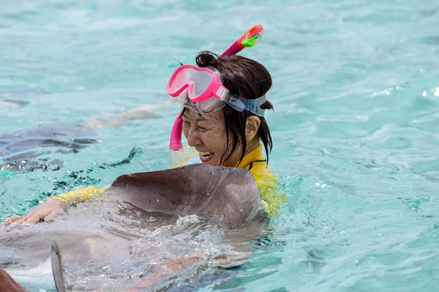 Bora Bora: Full-Day Lagoon Snorkelling Tour - Key points at a glance