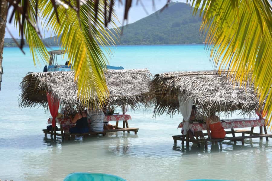 Bora Bora: Full-Day Lagoon Snorkelling Tour - Coconut demonstrations, music, and a lighter side