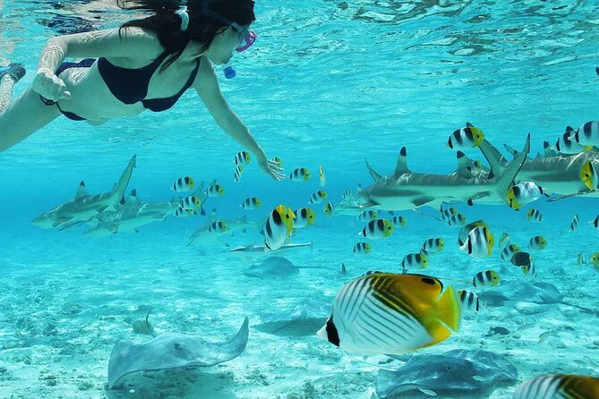 Bora Bora Full Day Snorkeling with Lunch - Pickup, meeting point, and practical preparation