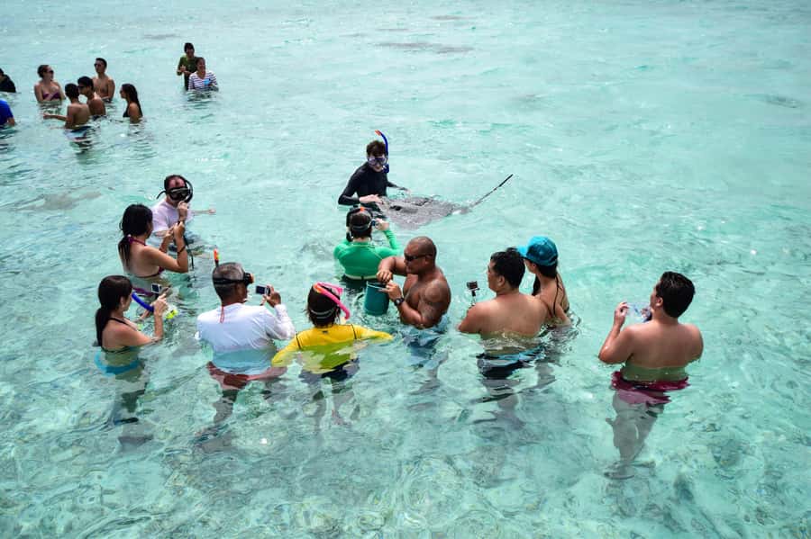 Bora Bora: Half-Day Lagoon Snorkelling Tour - First stop: small reef sharks by the reef edge